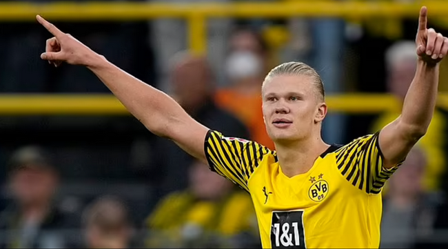 多个项目排 多个项目排